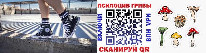купить закладку  Лянтор  Псилоцибиновые грибы Cubensis 